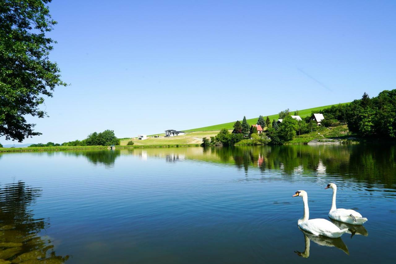 Luxury Villa Moravany nad Váhom Eksteriør billede